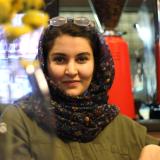 ستاره دریائی