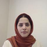 سوزان نوری