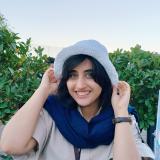 مینا نجفی