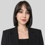 ویدیو معرفی