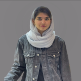 سروین کبیر